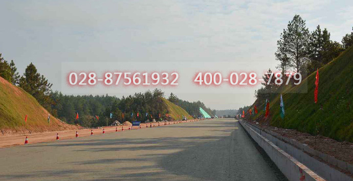 護(hù)坡草種價(jià)格 護(hù)坡草種價(jià)格